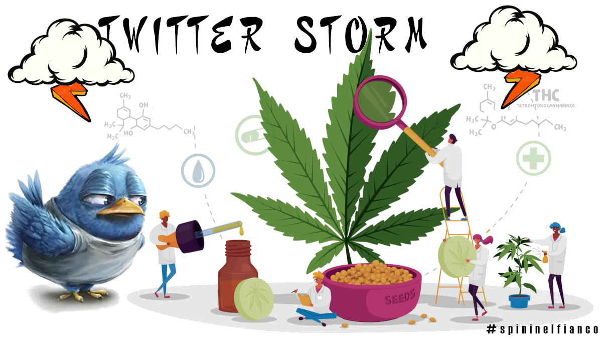 Legalizzazione Cannabis